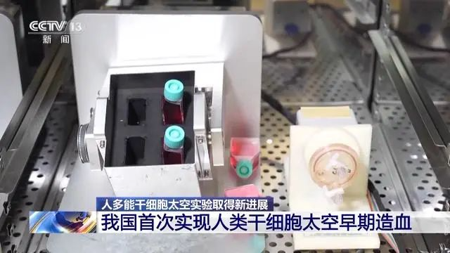 上天干细胞回来了！我国首次实现太空早期造血